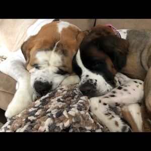 Meet your Posher, Patsy